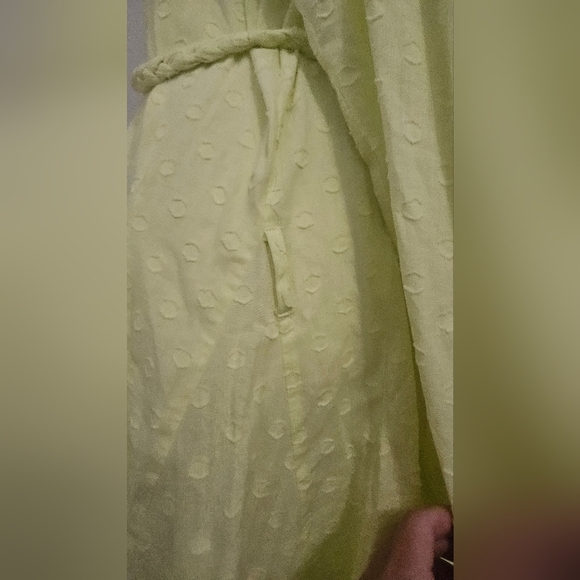 THE SHIRT by ROCHELLE BEHRENS The Jenica Dress In Yellow. Size L NWT - Picture 15 of 16